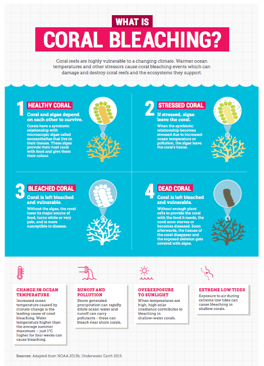 Climate Change: A Deadly Threat To Coral Reefs - Climate Council