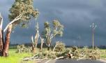 Mythbusting Guide: South Australian storms and power outages