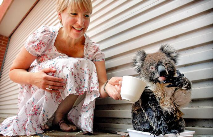 Article feature image