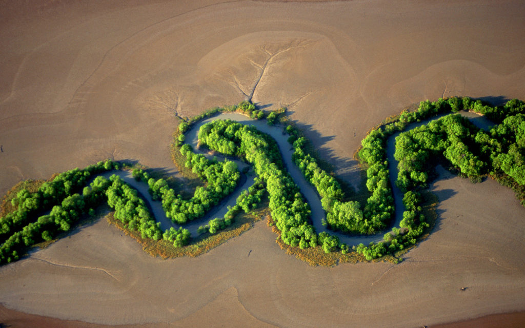 Photo of a river surrounded by trees snaking through dry dessert in Kakadu National Park