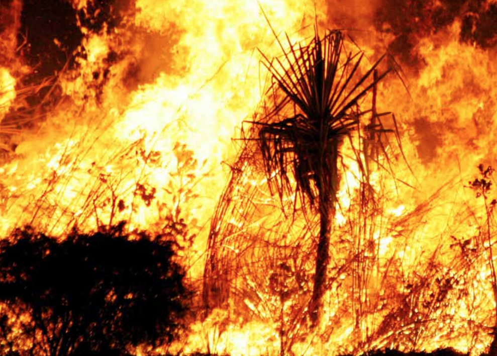 bushfires nsw dangerous pm
