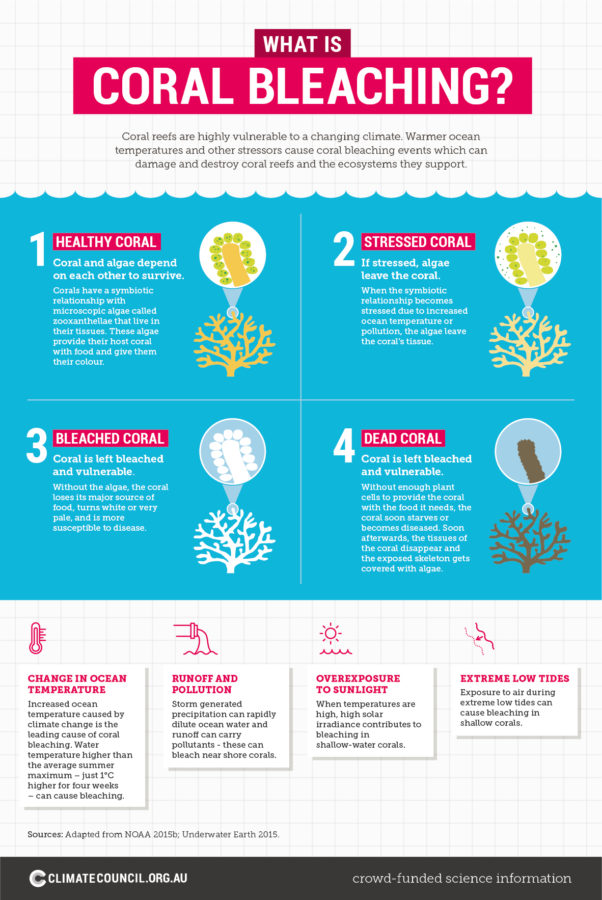 Climate Change Impacts on the Great Barrier Reef