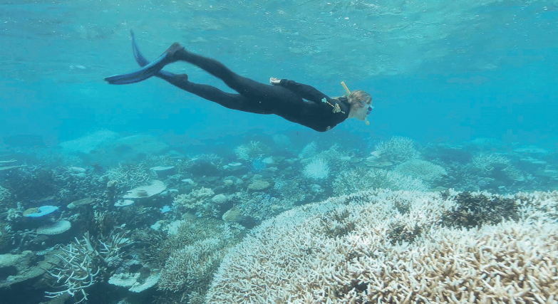 A photo of Amanda McKenzie snorkeling in the Great Barrier Reef in 2016