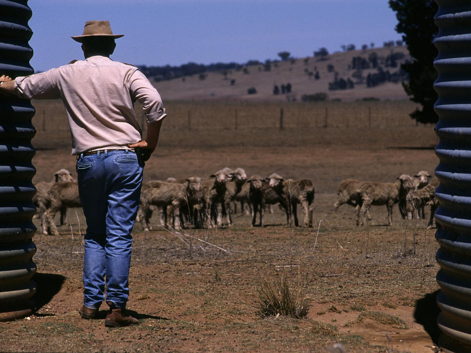 Farmer during NSW drought