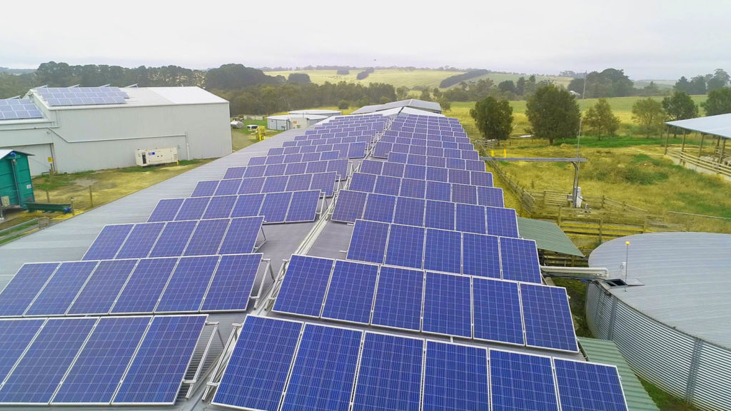 Meredith Dairy solar panels