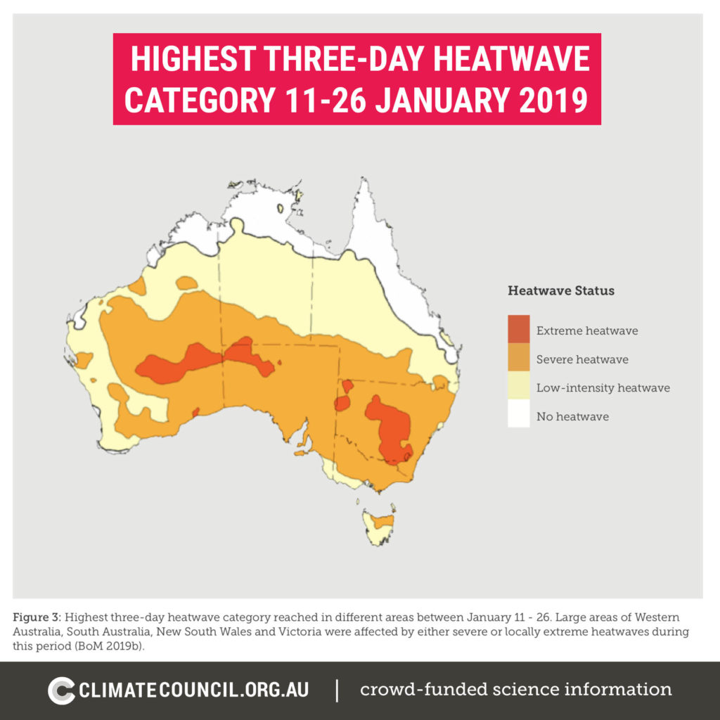 infographic showing heatwave information for January 2019