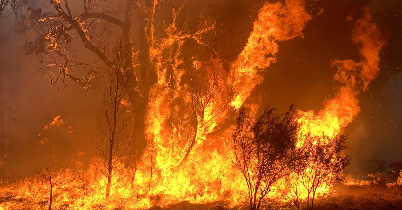 An image of bushfires