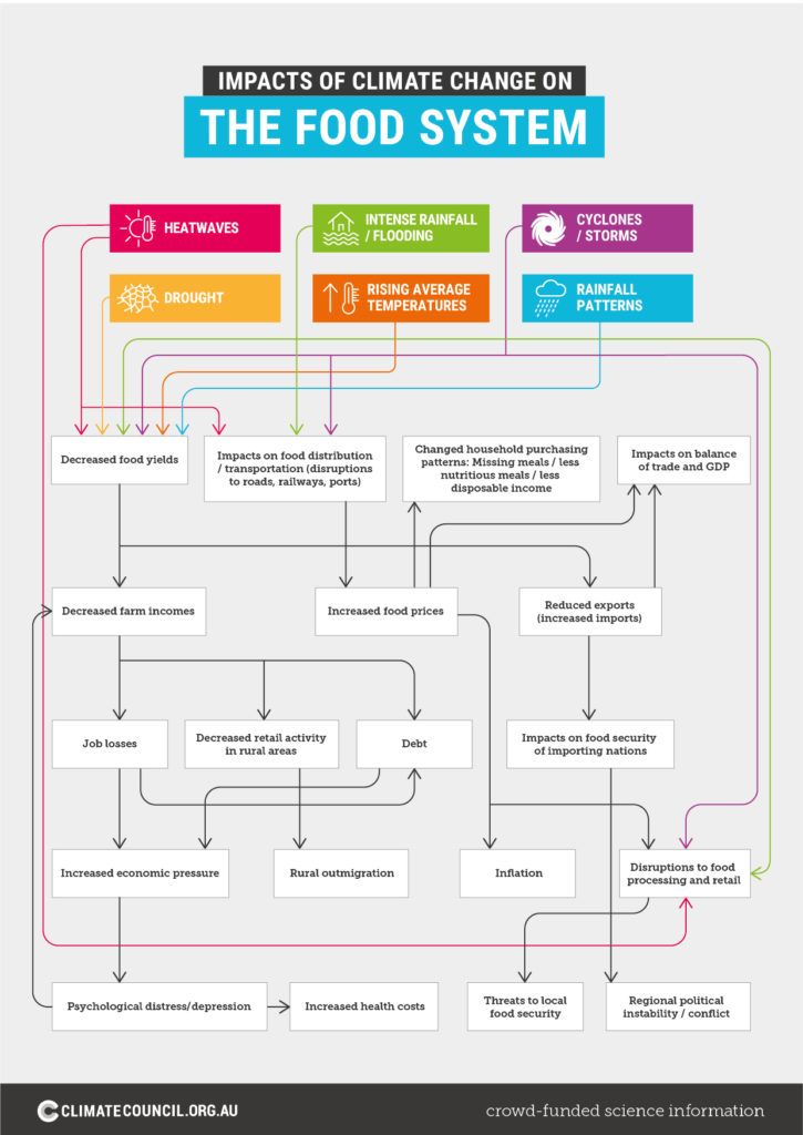 Infographic Depicting Impacts of Climate Change on the Food System