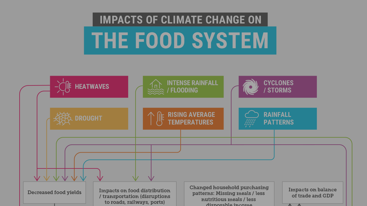 food security climate change case study