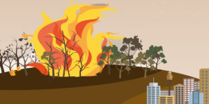 An illustration of a bushfire