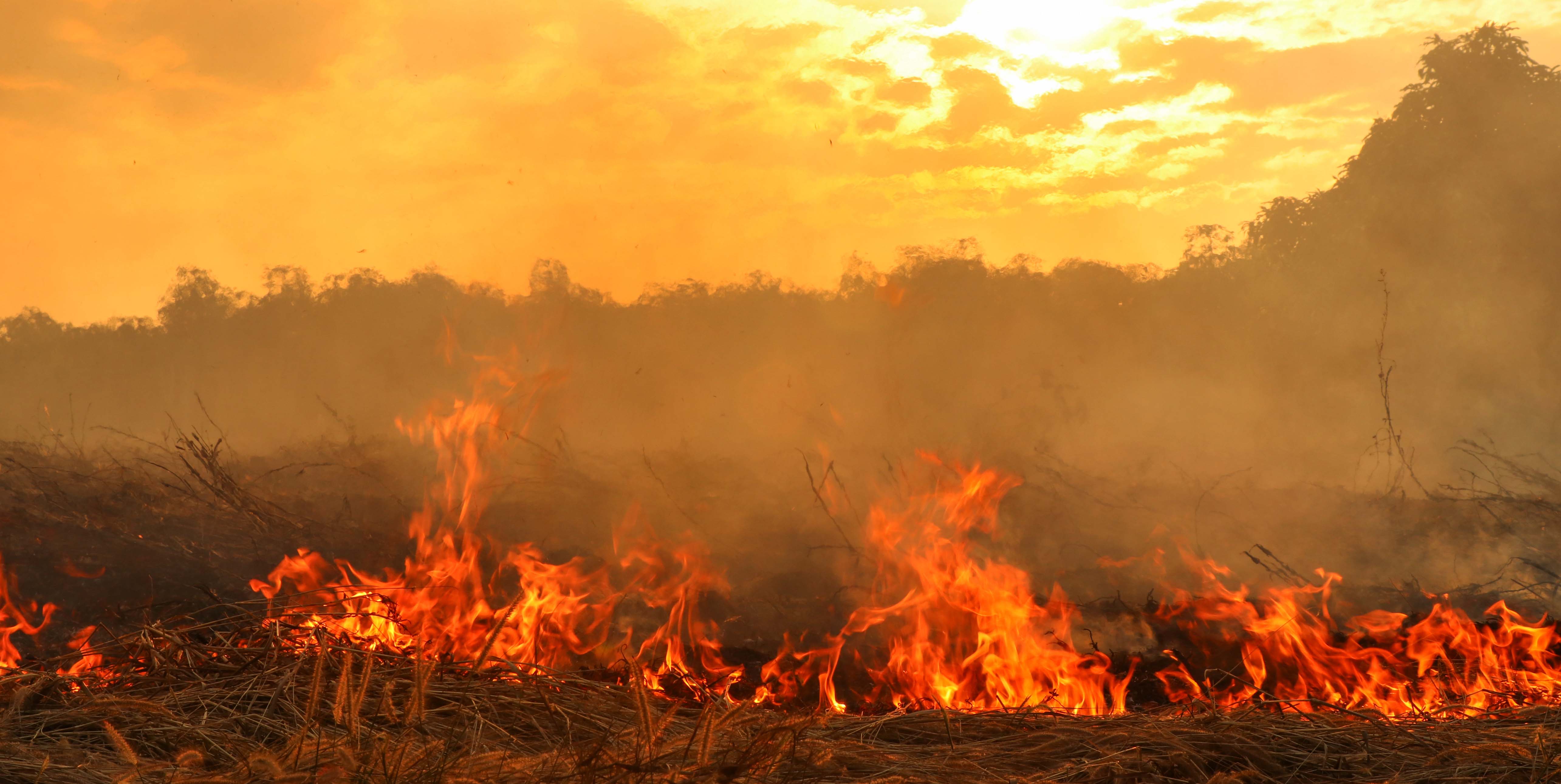 AMPLIFY OUR MESSAGE Climate Council