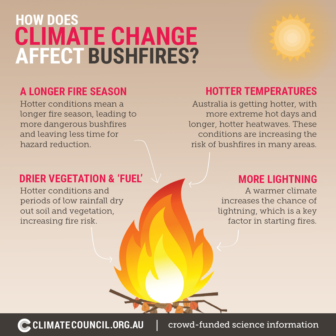 Infographic on climate change and bushfires