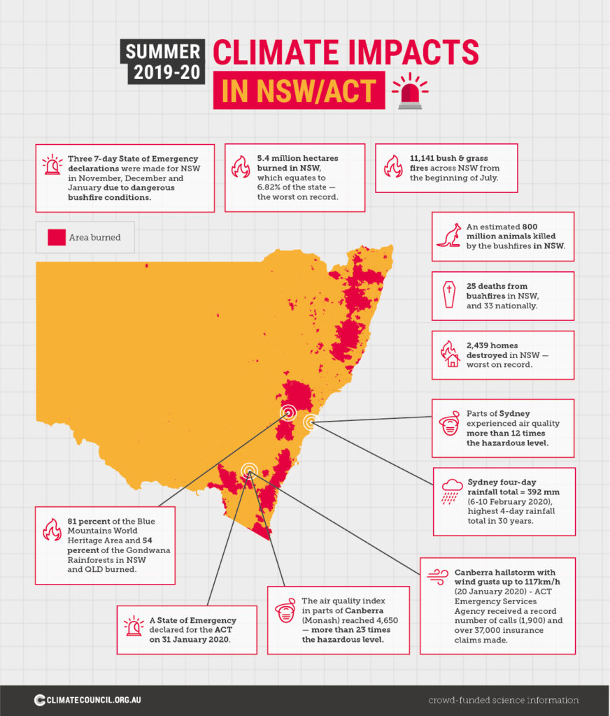An inographic depicting the climate impacts in NSW and ACT over the summer of 2019-20.