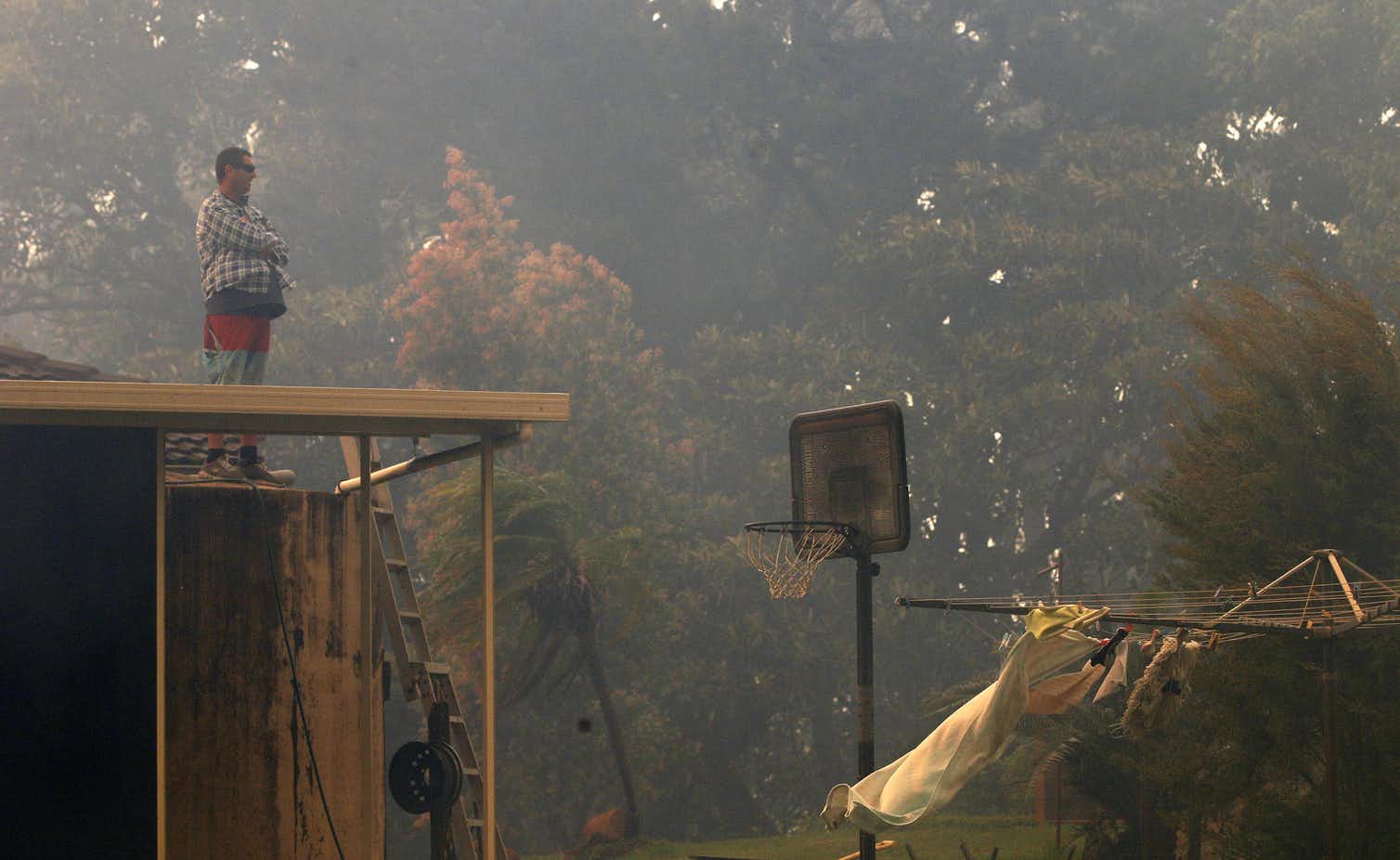 An image of a man standing on his roof looking out at his garden in bushfire smoke.