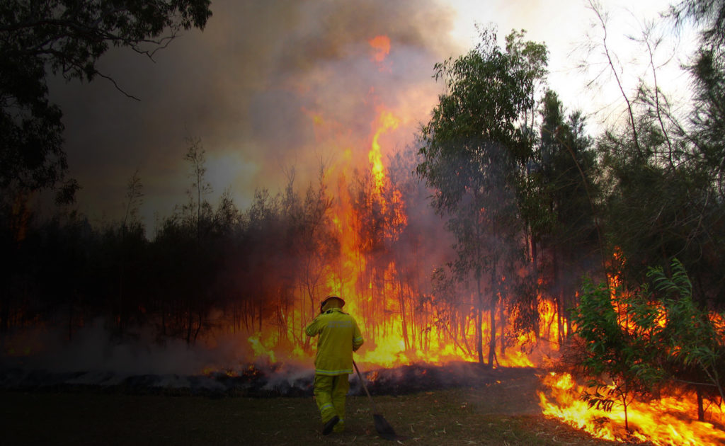 Lone firefighter fighting bushfire in dangerous conditions