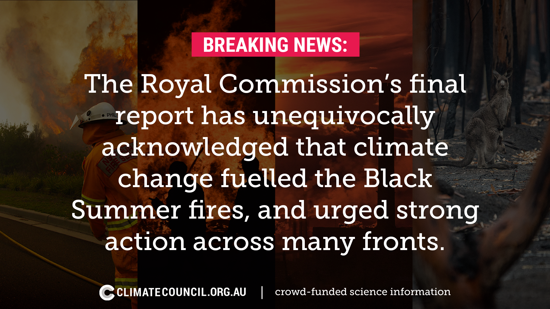An image with text about the Bushfire Royal Commission and how it acknowledges the role of climate change. 
