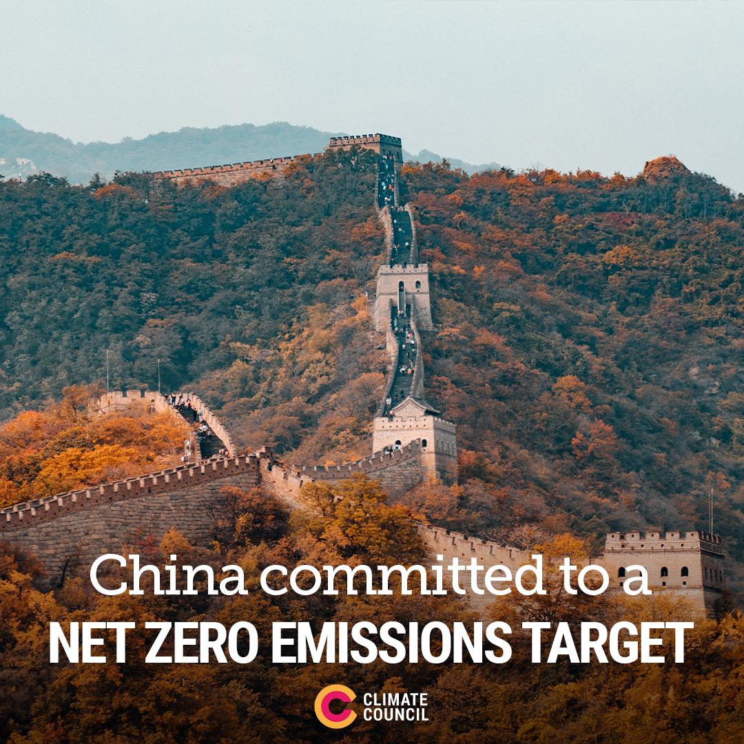 An image of the great wall of China, with text saying 'China committed to a net zero emissions target'