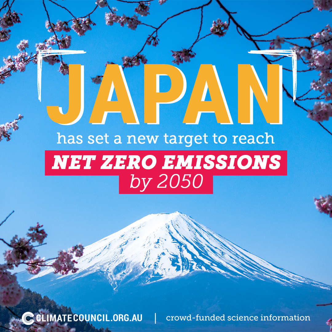 An image of a mountain in Japan, with text saying 'Japan has set a new target to reach net zero emissions by 2050'. 