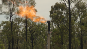 An image of a gas flare in Narrabri.