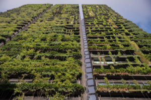 Sydney's Central Park building whose hard and gleaming surfaces are partially offset by green space, which works to reduce heat.