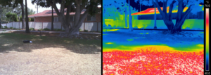 A demonstration of the cooling effect exerted by trees. The image depicts surface temperatures in a South Granville park, the shaded area beneath the tree being some twenty degrees cooler.