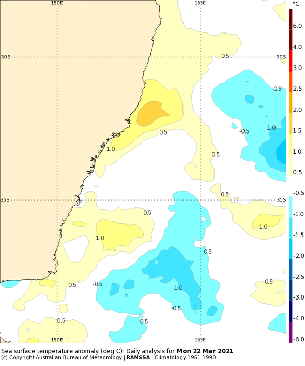 Sea surface temperature anomalies along the NSW coast. Bureau of Meteorology