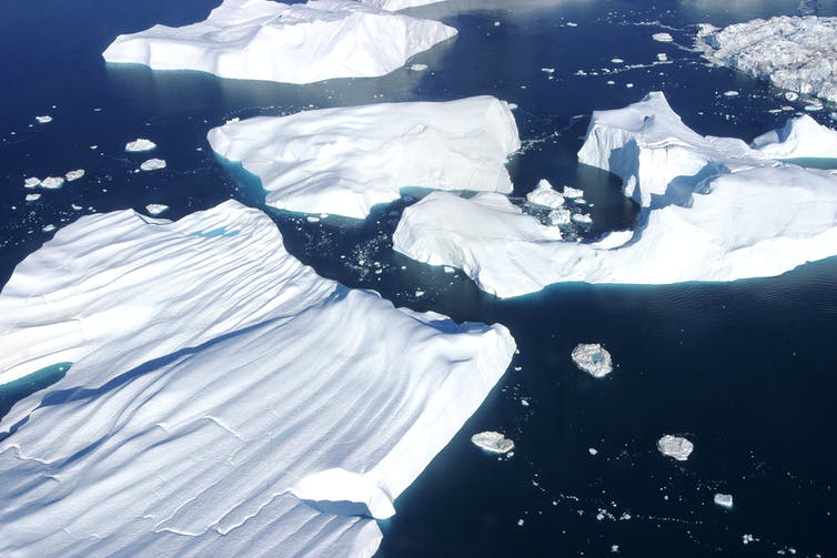Calved icebergs floating