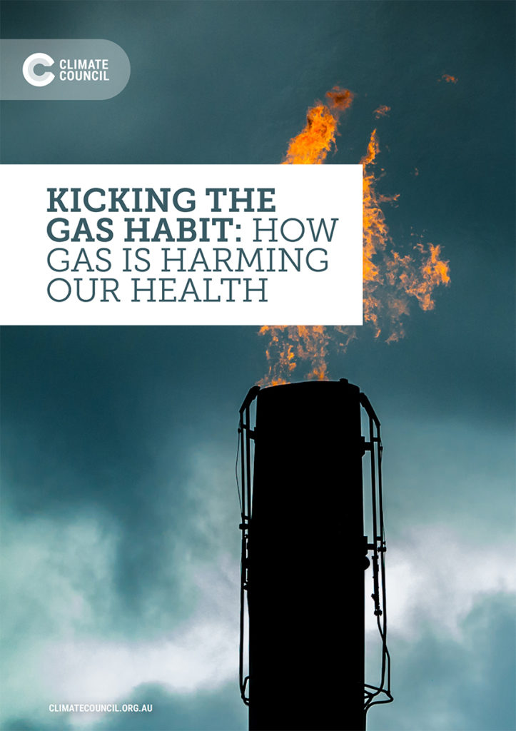 The frontcover of a report, depicting a gas flare against a stormy sky with the title prominently displayed.