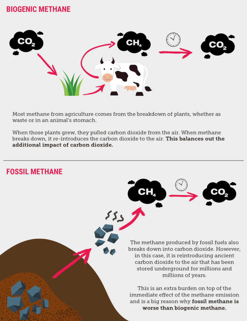 Agriculture's contribution to Australia's greenhouse gas emissions | Climate Council Agriculture's contribution to Australia's greenhouse gas emissions | Climate Council