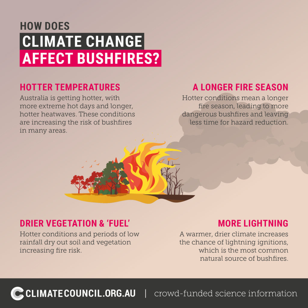 An illustration explaining how climate change affects bushfires