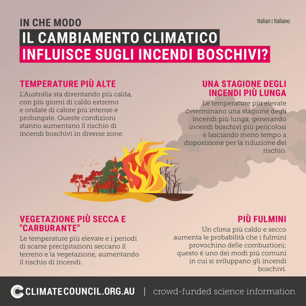 An illustration explaining how climate change affects bushfires - in Italian