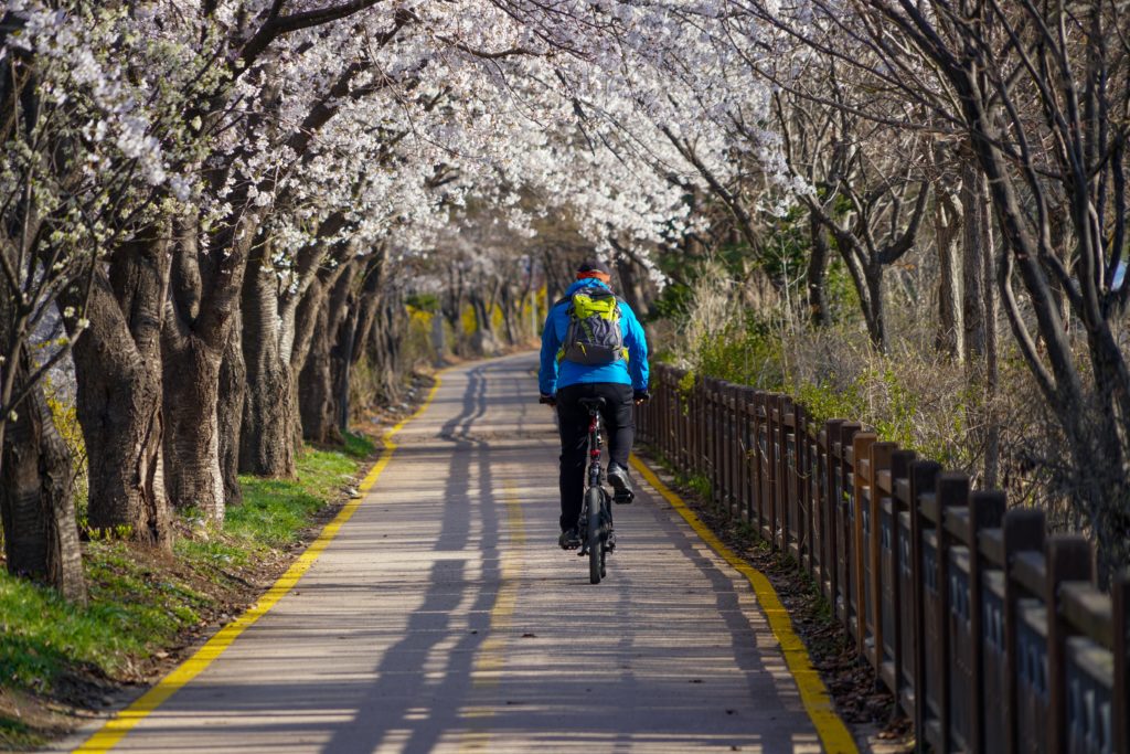 cyclist bikes on bikelane