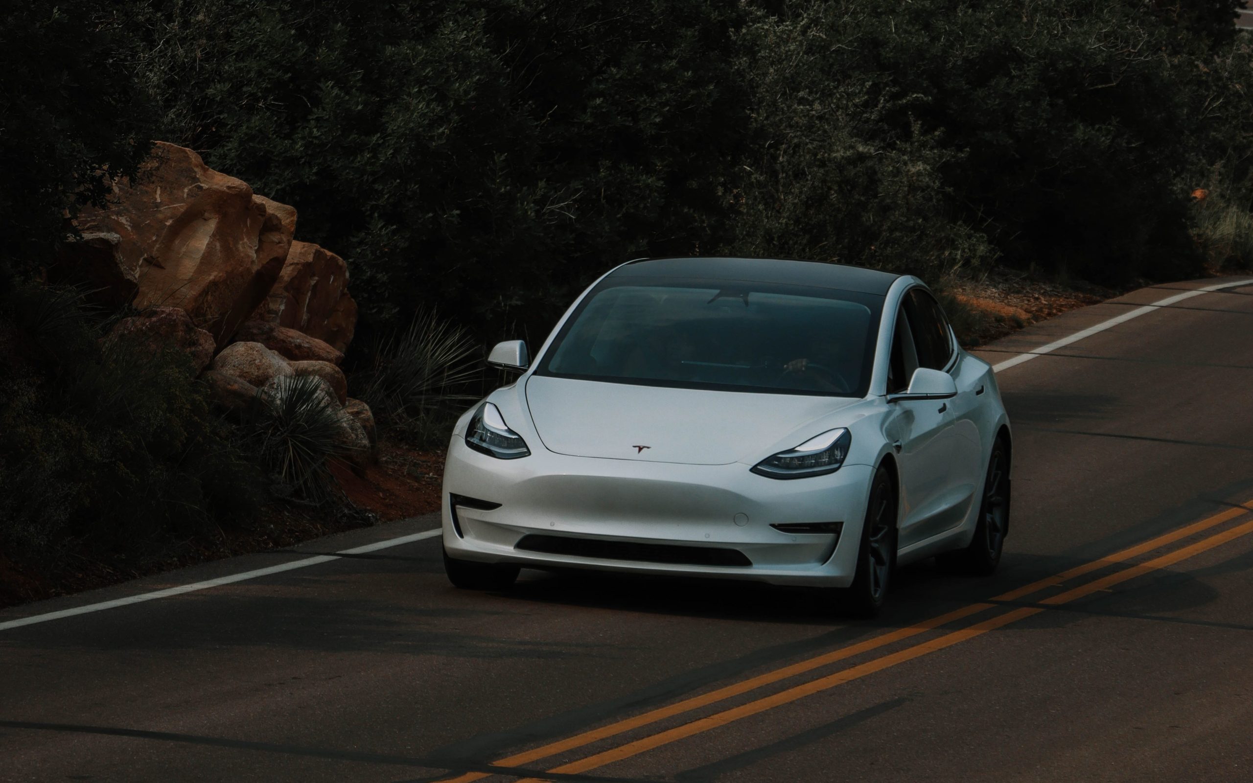 speedy tesla