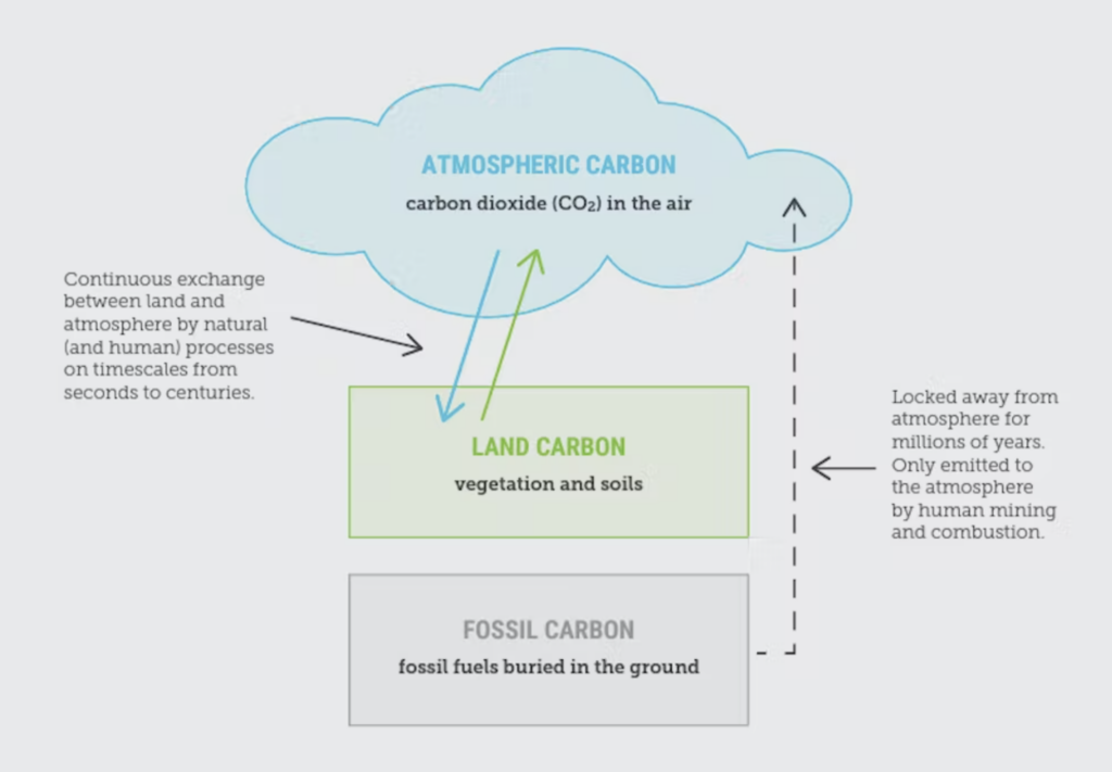 Carbon diagram