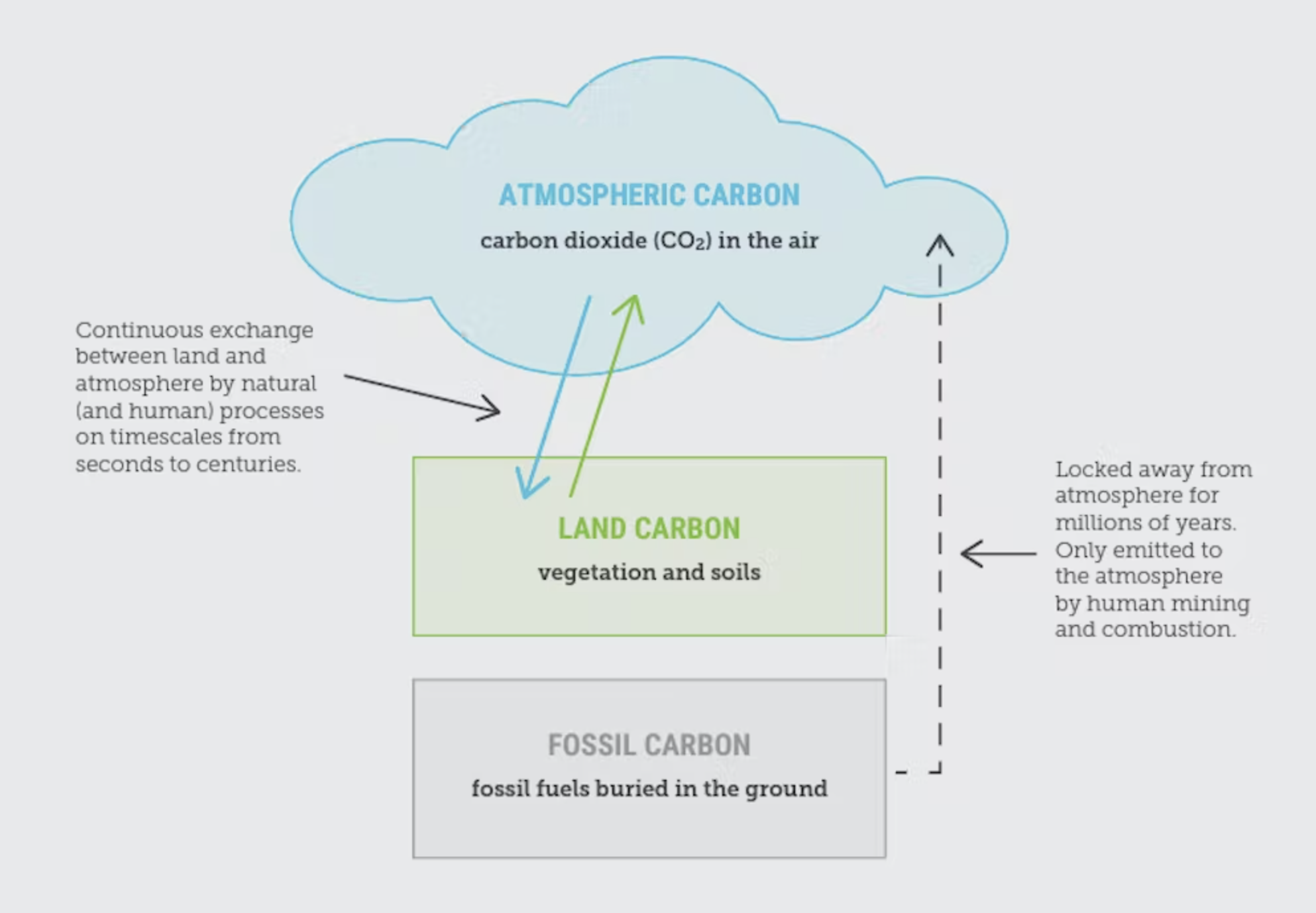 A tonne of fossil carbon isn’t the same as a tonne of new trees: why ...