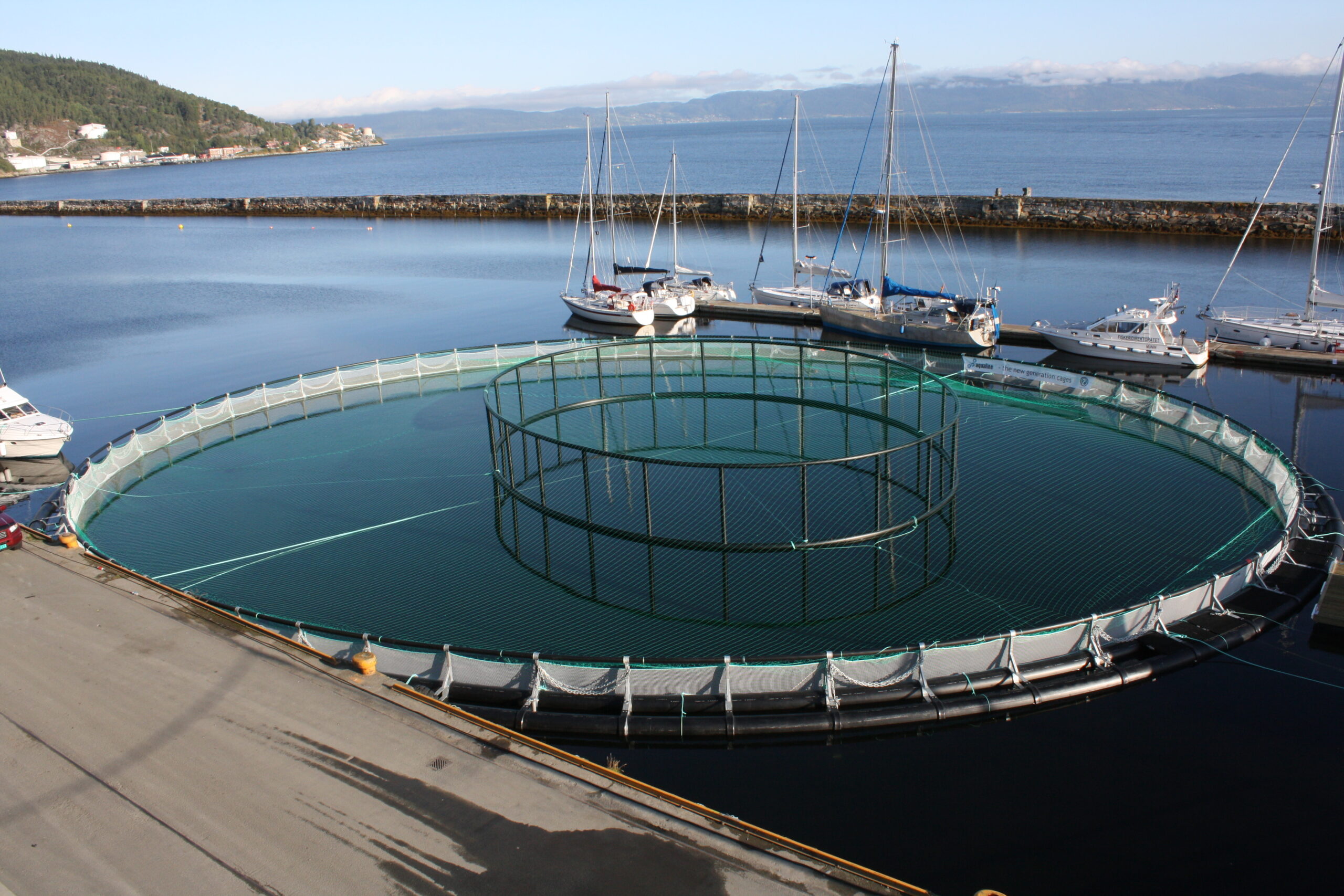 An image of a salmon farm in Tasmania.