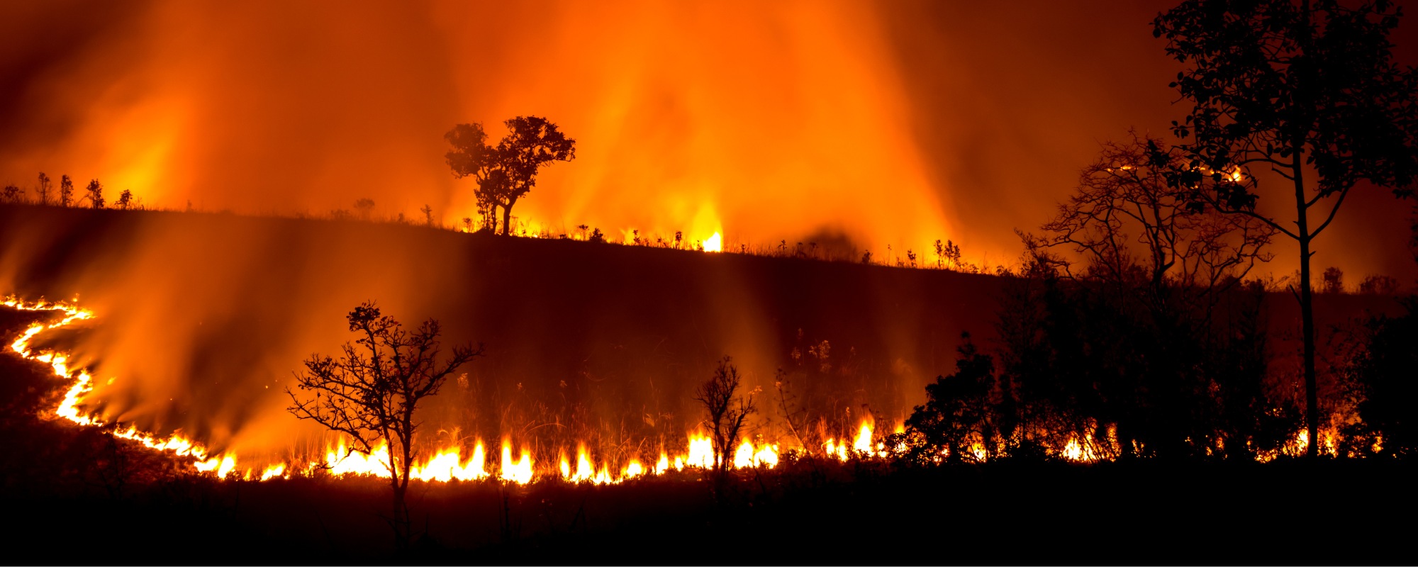 Five reasons why a Coalition deal on environment law would fail on climate