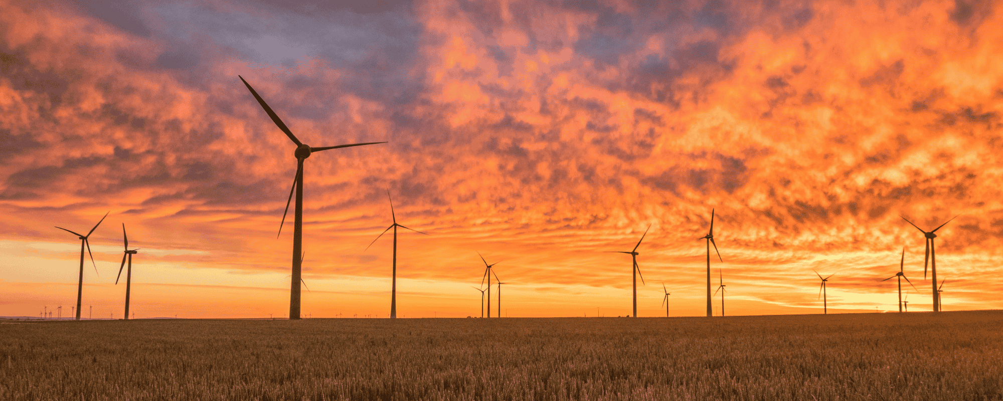 Renewables cutting power prices, but gas could undo gains